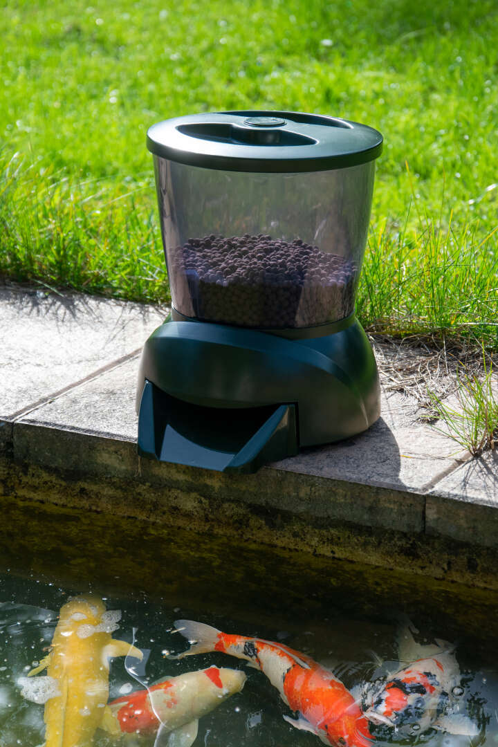 dobar Teichfischfutterautomat